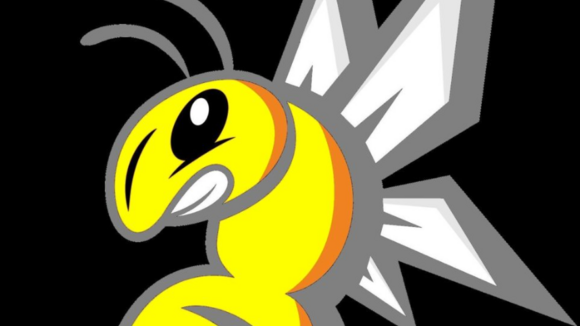 Unfälschbare Abschlusszeugnisse bei HSBA