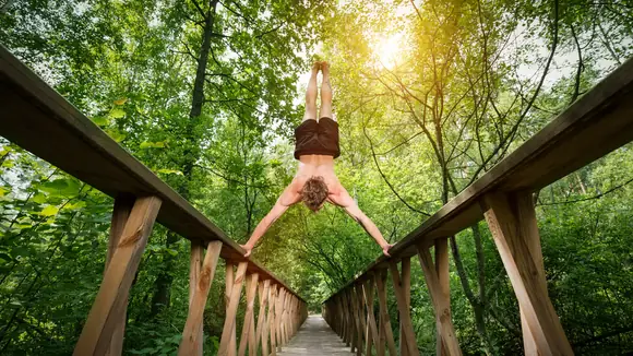 Der Wald als Therapeut