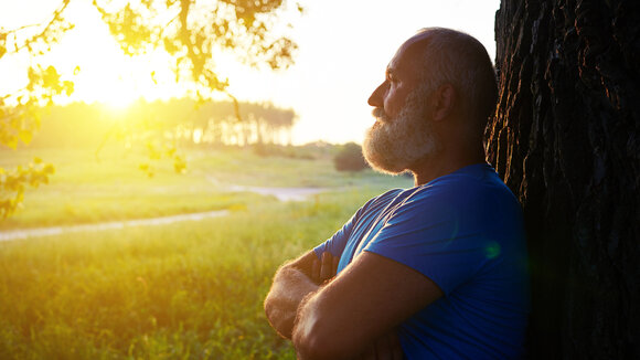 Jungbrunnen Wald: Die Natur heilt und lässt uns langsamer altern