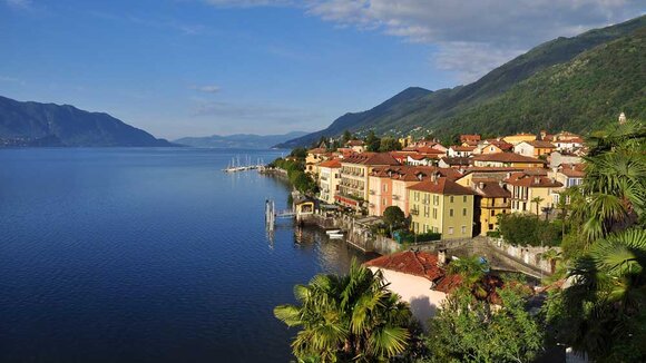 Zitronenhaine am Lago Maggiore