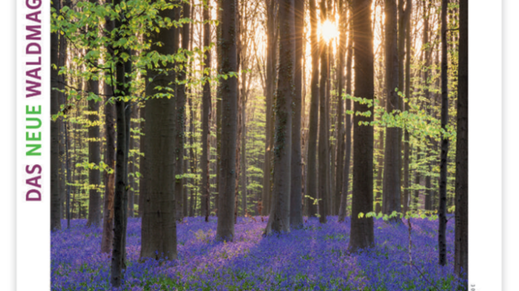 Neues Waldmagazin am Start