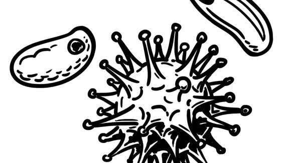 simpleshow unterstützt die Eindämmung des Coronavirus mit einfachen Erklärvideos zur breiten Aufklärung der Bevölkerung