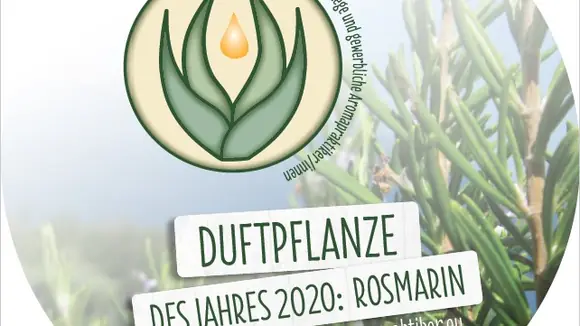 Der Tag des Duftes mit Rosmarin: Schützend, stärkend, belebend
