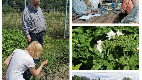 Projektberatung und Exkursion zu Musteranbauflächen historischer Pflanzen