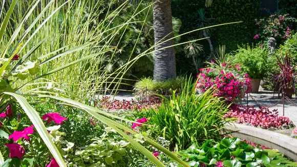 Gartenfantasien am Lago Maggiore – und Tee
