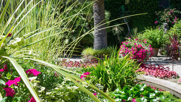 Gartenfantasien am Lago Maggiore – und Tee