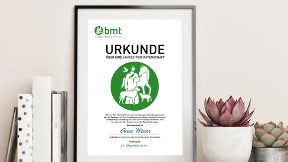 „Tierliebe schenken“ – Patenschaften für das Franziskus-Tierheim