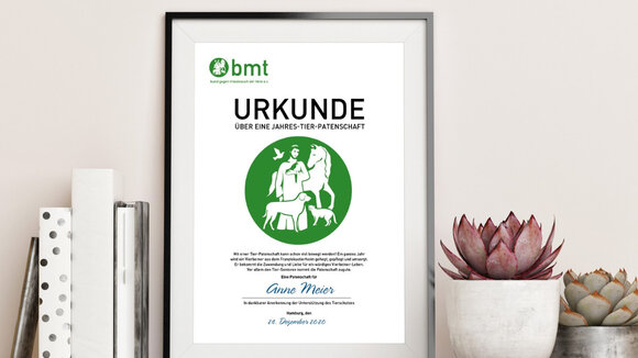 „Tierliebe schenken“ – Patenschaften für das Franziskus-Tierheim