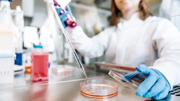 ASC Oncology beantwortet dank Testverfahren die zentrale Frage nach der Wirksamkeit von Krebsmedikamenten am Patiententumor