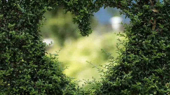 Green Finance mit Fokus auf Nachhaltigkeit – Eine Erfolgsstory