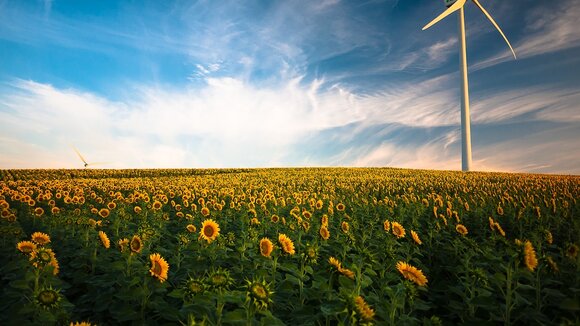 Grüne Zinsen mit Inflationsschutz: RE15 EnergieZins 2025 neu auf innovestment.eu | Anlage ab 1.000 Euro