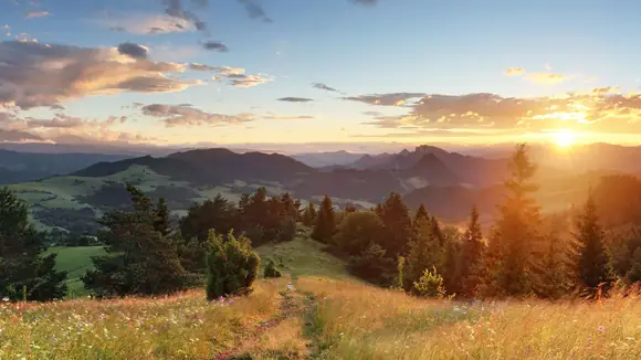 Raus aus dem „Homeoffice“ und rein in den Arbeitsraum Natur - Eine gesunde Alternative: Der Arbeitsraum Natur
