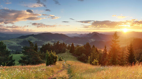 Raus aus dem „Homeoffice“ und rein in den Arbeitsraum Natur - Eine gesunde Alternative: Der Arbeitsraum Natur