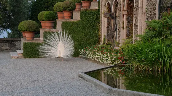 Gartenkunstwerke und unberührte Wildnis