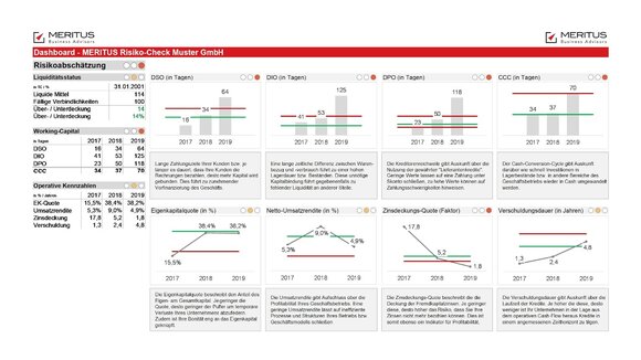 GOING CONCERN. Herausforderungen der Unternehmensfortführung unter Covid-19.