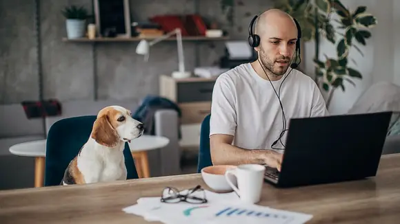 Interaktiv, live und praxisnah – Online-Veranstaltungen die begeistern