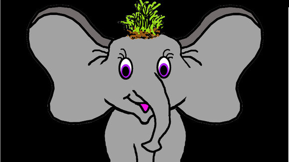 Lanea Samoa - ein kleiner Elefant - stellt die Welt auf den Kopf