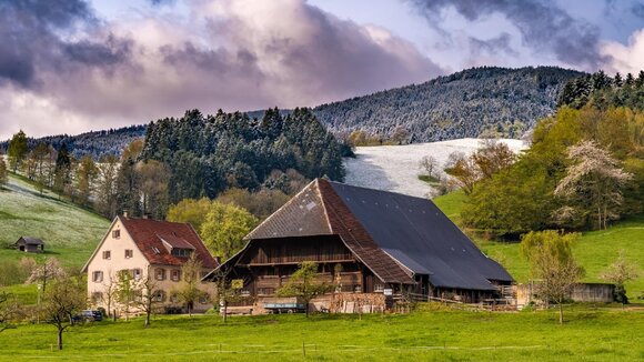 Bauwerk Talk: Typisch Schwarzwald - Regionale Baustoffe. Regionale Bauweisen