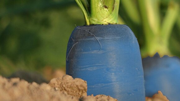 PensionCapital startet zweite Studie zu betrieblichen Benefits