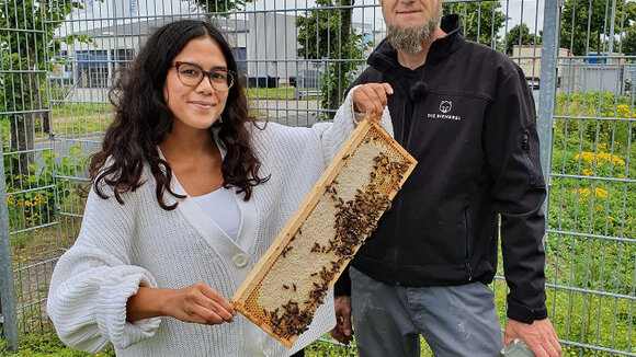 Ein Herz für Bienen – terminic GmbH verlängert Bienenpatenschaft um weiteres Jahr