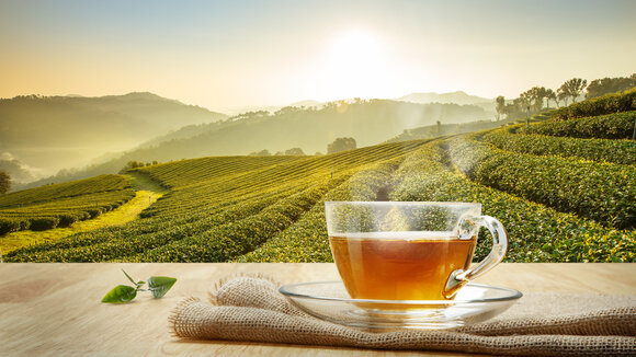 Wir feiern die Woche der 1000 Tees – feier´ mit uns