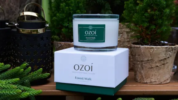 Ab in den Wald dank der veganen Duftkerze "Forest Walk" von OZOÍ