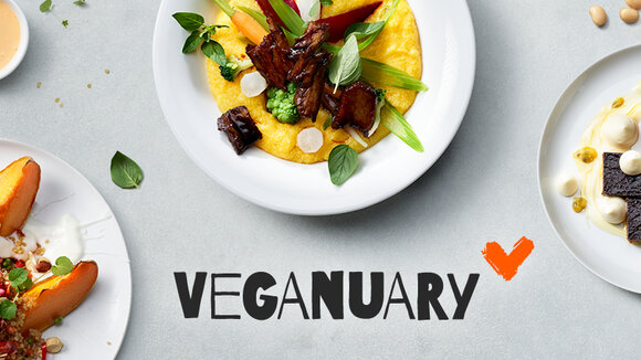 Vegan in den Januar: Unilever Food Solutions & Langnese feiert Veganuary