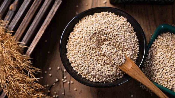 Startup für Bio Hybridfleischprodukt: Erstmals Geflügel Quinoa Meatballs für deutschen Markt entwickelt