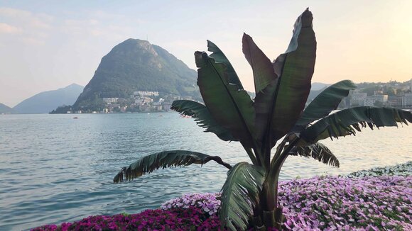 Lugano