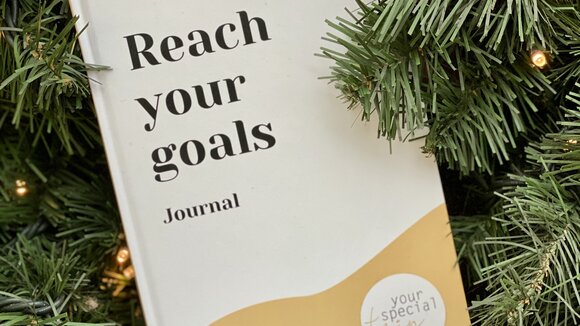 Neues Journal Reach your goals von Sabine Peavy