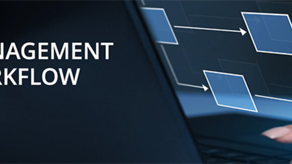 APICON Aufgabenmanagement für einen effektiveren Workflow bei der Datenpflege im SAP