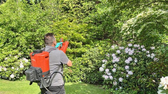 Dank des Akku-Sprühgebläses spart der Gärtnermeister spart deutlich an Kosten und Zeit.