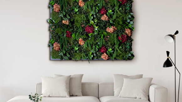 Wandgärten mit Hortensien & Dschungelpflanzen