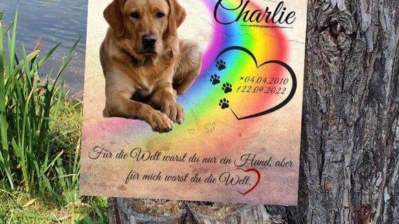 Tiergrabstein am Baum mit Herz und Tierpfoten