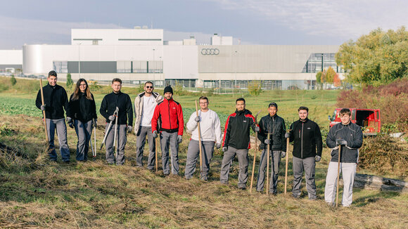 Neckarsulmer Auszubildende helfen, für Zauneidechsen einen geeigneten Lebensraum in den Böllinger Höfen zu schaffen.