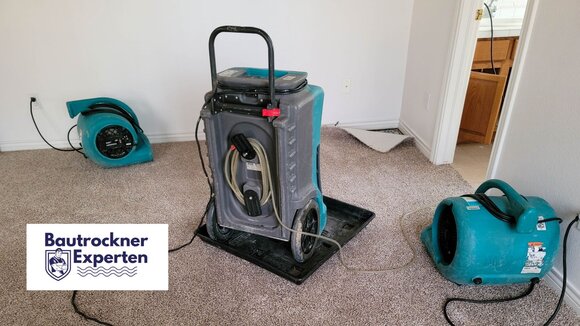 Bautrockner-Experten