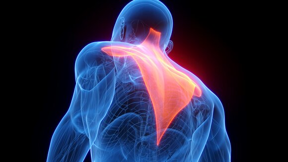 SciRhom startet erste klinische Studie