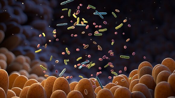 mbiomics: Wie das Verstehen des Mikrobioms des Darms künftig in zielgenaue Therapien umgesetzt werden kann