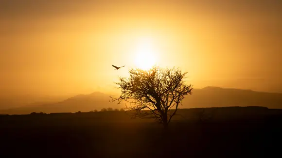 Crowlight Partners - Your Strategic Edge in Negotiations