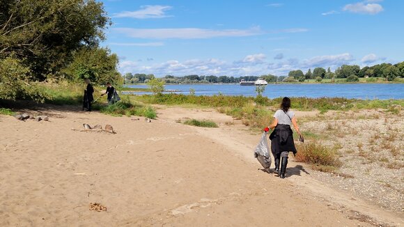 Eine Frau reinigt am Rhein den Müll