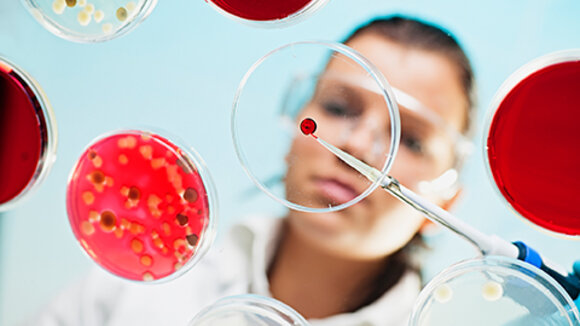 Mikroben, Pilze und Enzyme machen vor, wie biologische Systeme Plastik nicht nur abbauen – sondern in Rohstoffe, Habitate und sogar Medikamente verwandeln.